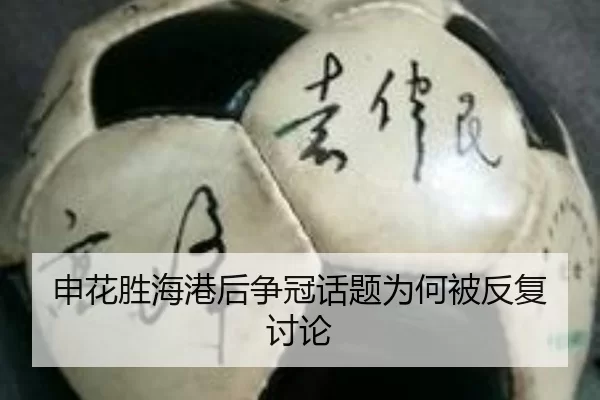 shen-hua-sheng-hai-gang-hou-zheng-guan-hua-ti-wei-he-bei-fan-fu-tao-lun-2-386.jpg